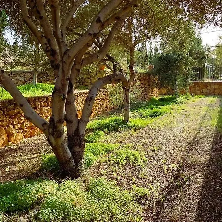 Villa Cosseri Rossa-dorothea And Cosseri Rossa-penelope, With Own Shared Pool