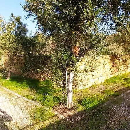 Villa Cosseri Rossa-dorothea And Cosseri Rossa-penelope, With Own Shared Pool *