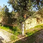 Villa Cosseri Rossa-dorothea And Cosseri Rossa-penelope, With Own Shared Pool *